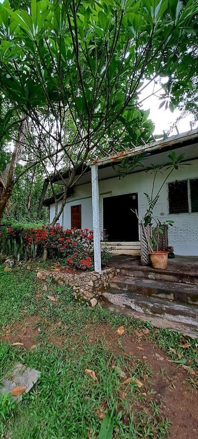 Pai Yard Guest House Екстер'єр фото